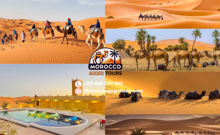 Highlights of the 2-day desert tour to Merzouga: Cedar Forest, Ziz Valley, and luxury desert camp.