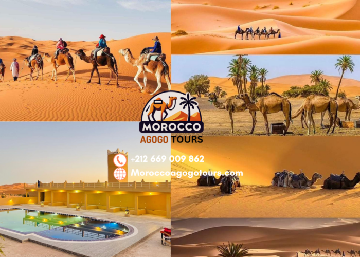 Highlights of the 2-day desert tour to Merzouga: Cedar Forest, Ziz Valley, and luxury desert camp.