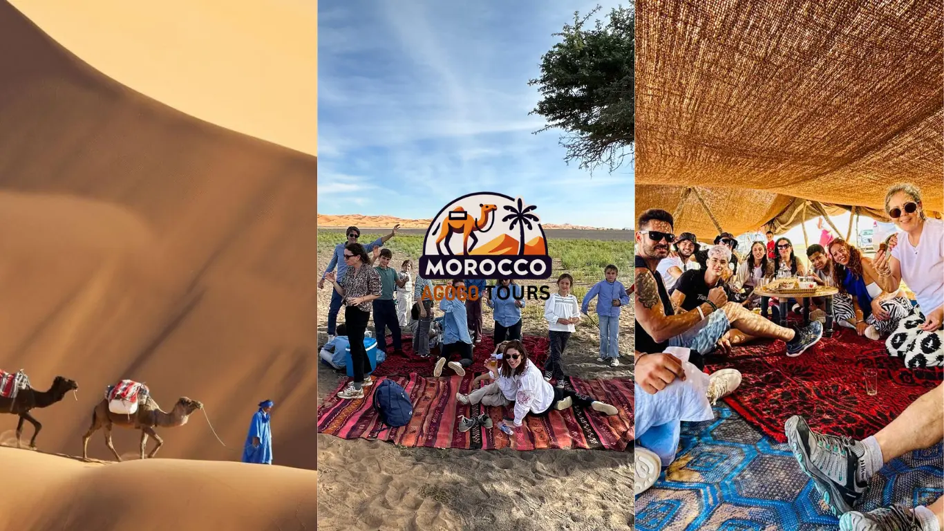 Authentic picnic and camel trekking – 4 Days Tour from Fes to Merzouga Desert Picnic break with our tour guide and camels during the 4 Days Tour from Fes to Merzouga Desert
