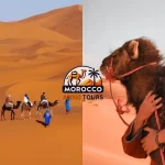 Camel caravan in the Sahara Desert at sunset during one week in Morocco tour from Fez to Marrakesh