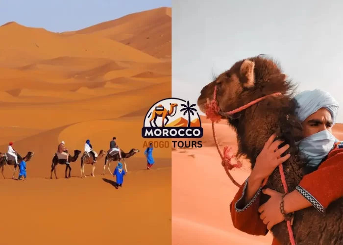 Camel caravan in the Sahara Desert at sunset during one week in Morocco tour from Fez to Marrakesh